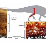 Tenontosaurus