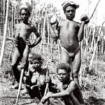 New Guineans