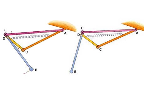 mantis shrimp mechanics
