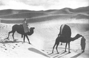 Great Desert