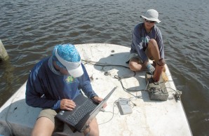 researching sharks