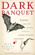 dark banquet dark banquet
