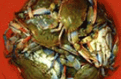 crab