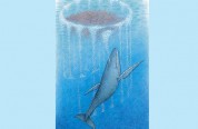 whale in bubble net